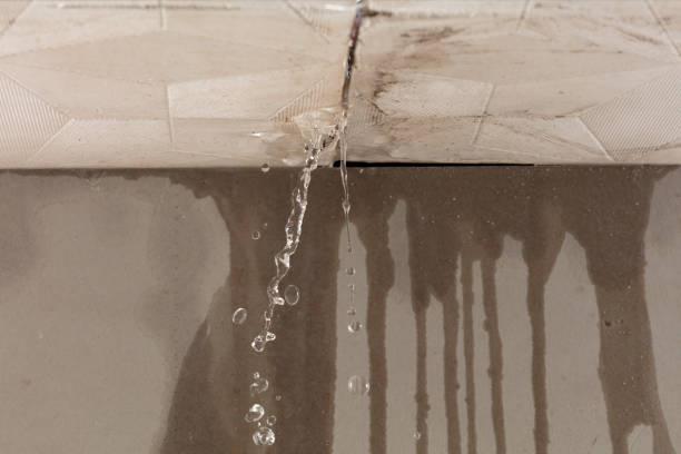 Professional Water Damage Repair technician working in Mesa, WA